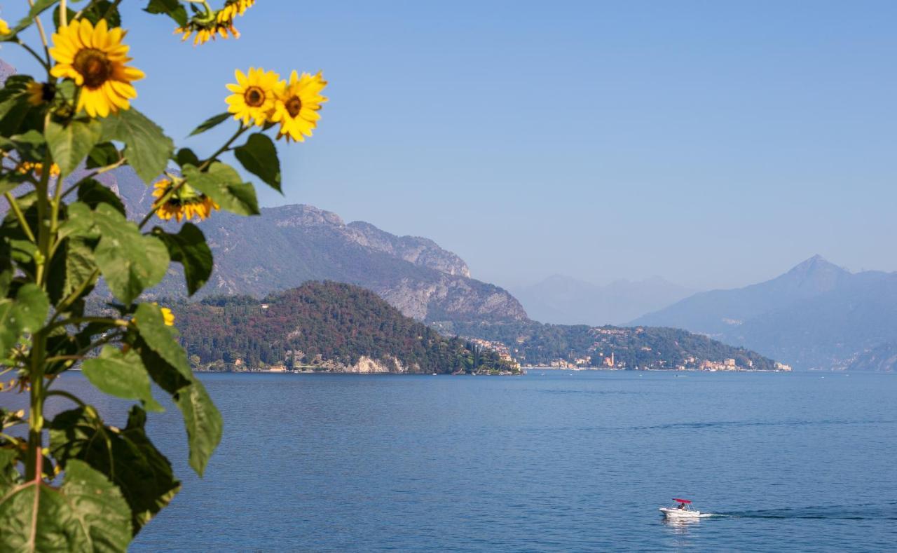 Appartamento Sosta Sul Lago Lezzeno Exteriör bild